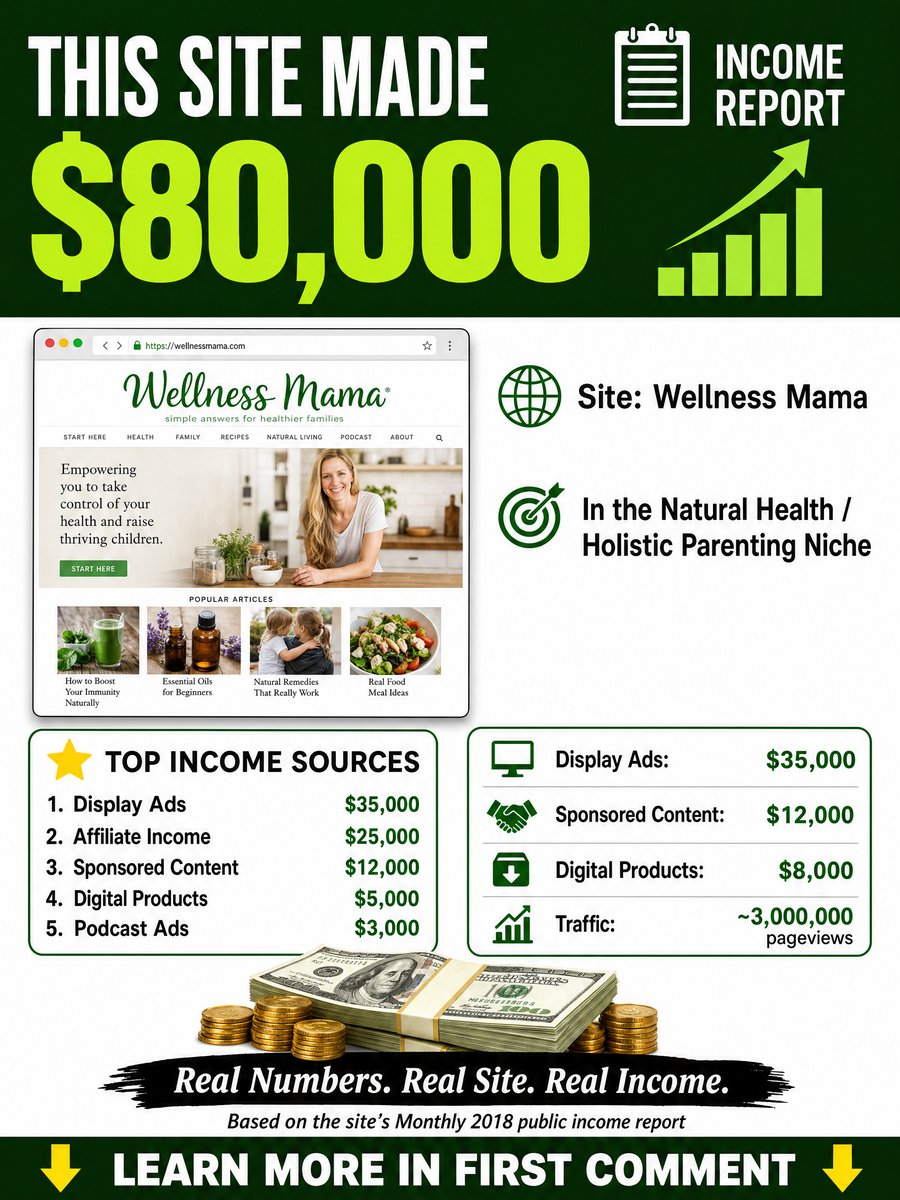 The Minimalists Minimalism and Simple Living Income Report